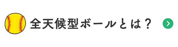 全天候型ボールとは